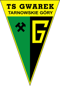 TS Gwarek